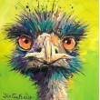 Emu 43